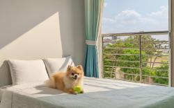 Yeongdeok January and February Pension