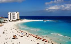 Salvia Cancun