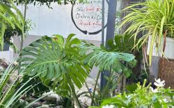 Bơ Homestay 