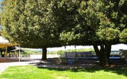 B&b Il Leccio