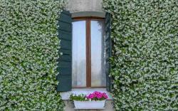B&B Casa Cervade