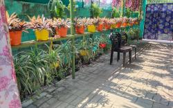 Green View Homestay