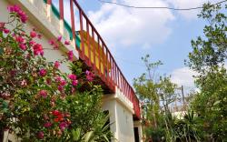 Dahab Hostel