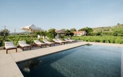 IMAGO Houses 1 - by MET