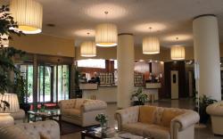 Air Hotel Milano Linate