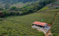 Wild and Free Farm Stay