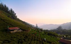 Wild and Free Farm Stay