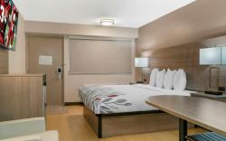 Red Roof Inn Detroit–Rochester Hills/Auburn Hills