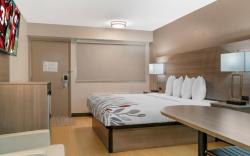 Red Roof Inn Detroit–Rochester Hills/Auburn Hills