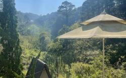 The Sound Of Silence Homestay Đà Lạt