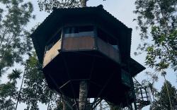 Lilliputhaven Tree hut 