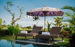 Brand New Design Villa Surrounded by Ricefields