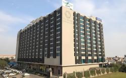 The Grand Anukampa Oasis