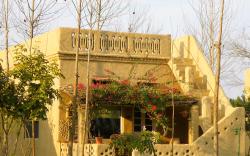 Punjab Village Farm near Amritsar