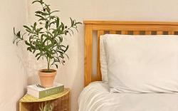 Amsa Station/ Yes24live/ Hangang KSPO/Cozy room