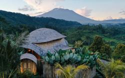 Vishala Retreat Bali