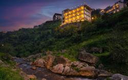 Palm Aryan Pause by the Stream