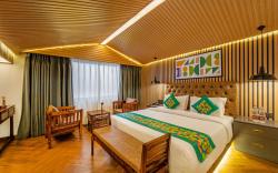 Treebo Bridge View Regency, Mall Road