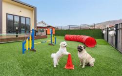 Gangchon Baile Village Pension