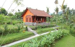 Experience the beauty of bali