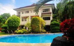 Alona Golden Palm