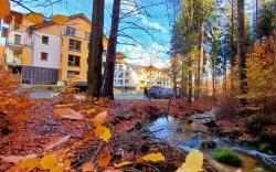 Apartamenty nad Zlotym Potokiem