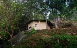 Kithul cob hideaway 