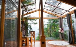 Thecozynest Jacuzzi treehouse