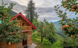 Duplex Valley view Cottage in Jibhi