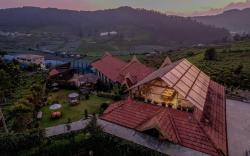 Finch Kotagiri