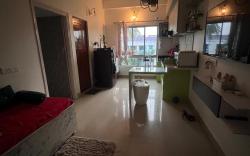 ‘Cozy’ Art-Directed flat