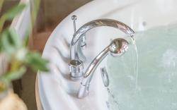 Gapyeong Nami Island Pet-Friendly Spa Pe