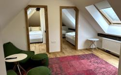 2BR suite| Attic w/ mountain view| We♥Pets| Free P