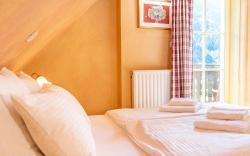 Delux Double room w/ balcony → Ski slops view