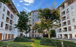 Entire Apartment in Heart of Dublin