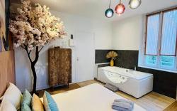 Zen Suite with Jacuzzi 15 minutes to Disney