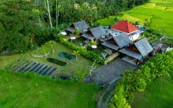 Tiare Villa Ubud, Sebatu