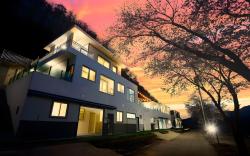 Gapyeong Eco Healing Pool Villa Pension