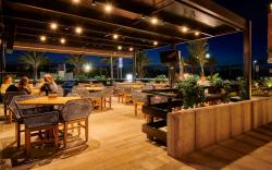 ibis Torreon