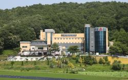Mungang Sulfur Hot Springs Hotel