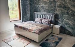 SAAR PALAMPUR VILLA  2BHK | Dhauladhaar View 