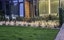 Diamond Resort Busteni