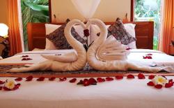 Citra guest house