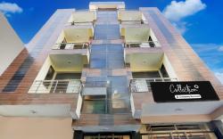 Collection O Sheetla Colony