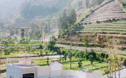Kurniawan By Travelink