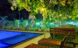 Yala Golden Wild