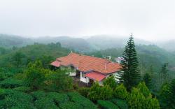Aruvi Vagamon by VOYE HOMES