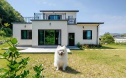 Gyeongju Sunflower Private Cottage