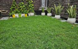 Elegant 3BHK home with lawn near India Expo Mart