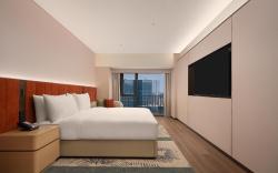 Hilton Garden Inn Shenzhen Pingshan Chaoshang Plaza